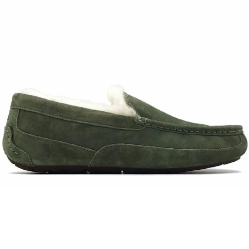UGG MENS ASCOT BURNT OLIVE