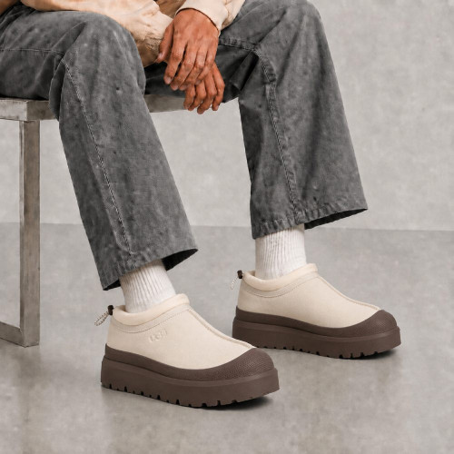 UGG MAN TASMAN WEATHER HYBRID  JASMINE/MOLASSES