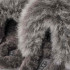 UGG  WOMEN'S SCUFFETTE CHALET SLIPPER CHARCOAL 